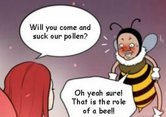 naughty bee